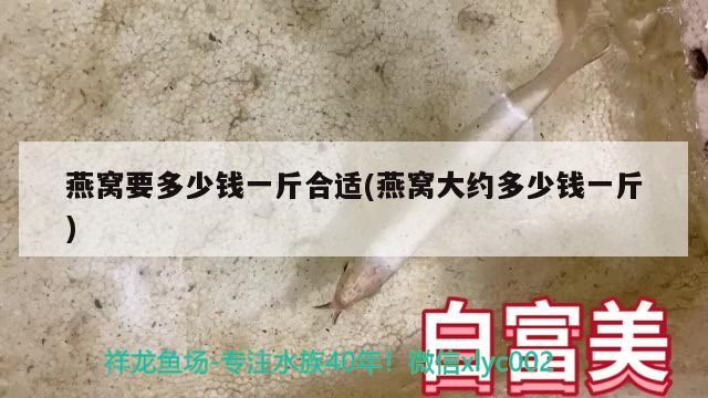 燕窩要多少錢一斤合適(燕窩大約多少錢一斤) 馬來西亞燕窩