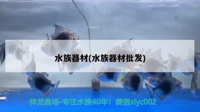 水族器材(水族器材批發(fā))