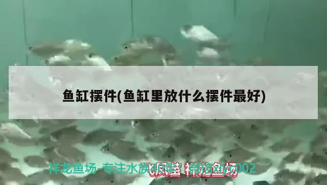 魚缸擺件(魚缸里放什么擺件最好) 沖氧泵