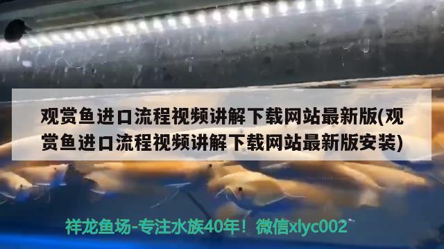 觀賞魚進(jìn)口流程視頻講解下載網(wǎng)站最新版(觀賞魚進(jìn)口流程視頻講解下載網(wǎng)站最新版安裝)