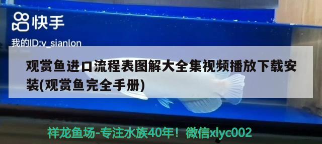 觀賞魚進(jìn)口流程表圖解大全集視頻播放下載安裝(觀賞魚完全手冊)