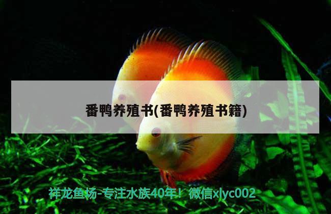 番鴨養(yǎng)殖書(shū)(番鴨養(yǎng)殖書(shū)籍) 魚(yú)糧魚(yú)藥