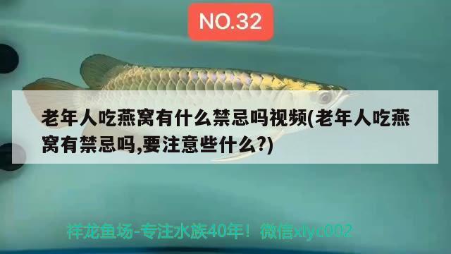 老年人吃燕窩有什么禁忌嗎視頻(老年人吃燕窩有禁忌嗎,要注意些什么?) 馬來西亞燕窩