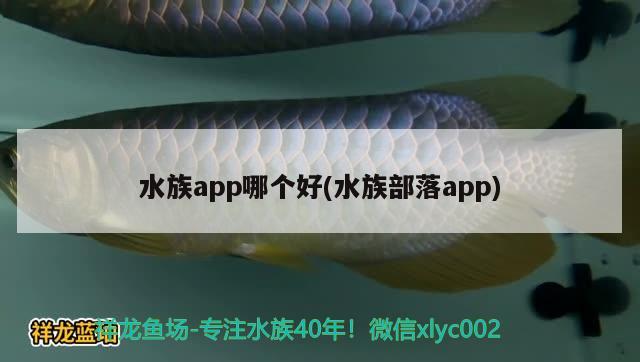 水族app哪個好(水族部落app) 二氧化碳設(shè)備