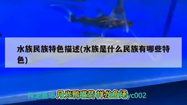 水族民族特色描述(水族是什么民族有哪些特色) 魚缸百科