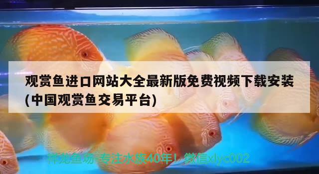 觀賞魚進口網(wǎng)站大全最新版免費視頻下載安裝(中國觀賞魚交易平臺) 觀賞魚進出口