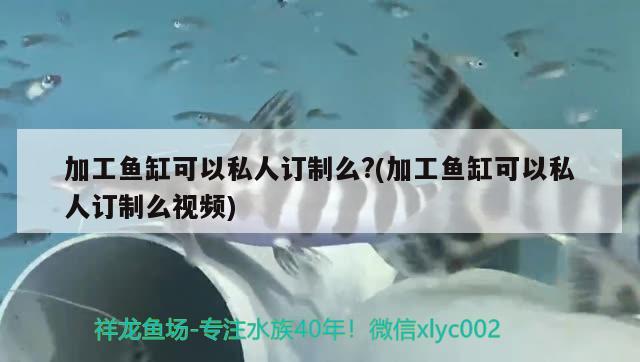 加工魚(yú)缸可以私人訂制么?(加工魚(yú)缸可以私人訂制么視頻)