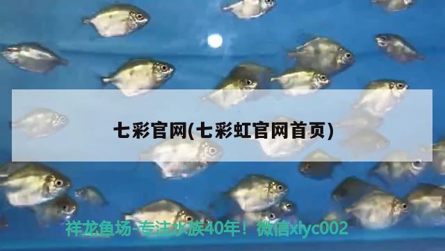 七彩官網(wǎng)(七彩虹官網(wǎng)首頁(yè)) 南美異型魚(yú)