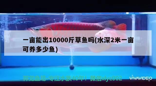 一畝能出10000斤草魚(yú)嗎(水深2米一畝可養(yǎng)多少魚(yú)) 申古銀版魚(yú)