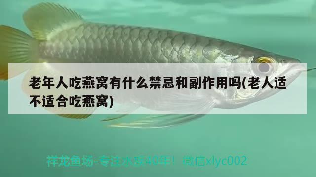 老年人吃燕窩有什么禁忌和副作用嗎(老人適不適合吃燕窩) 馬來西亞燕窩