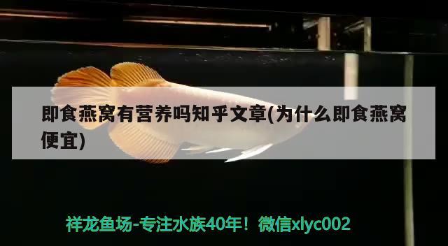 即食燕窩有營養(yǎng)嗎知乎文章(為什么即食燕窩便宜) 馬來西亞燕窩