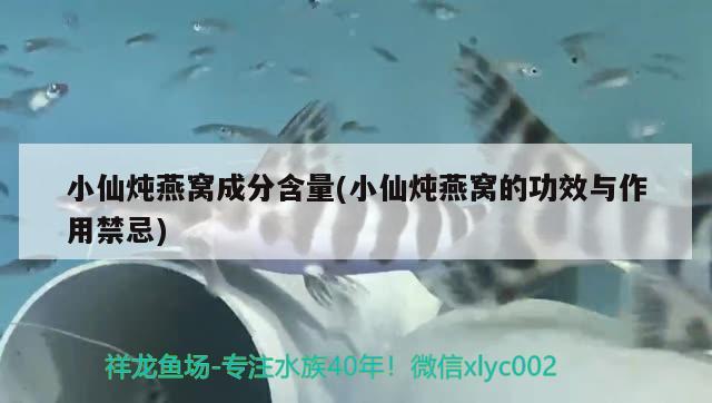 小仙燉燕窩成分含量(小仙燉燕窩的功效與作用禁忌) 馬來西亞燕窩