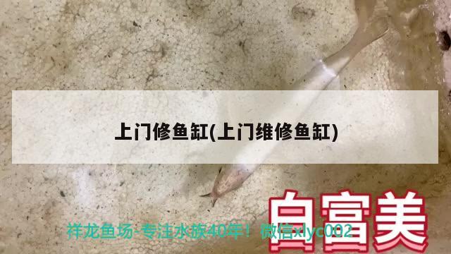 上門修魚缸(上門維修魚缸) 圖騰金龍魚