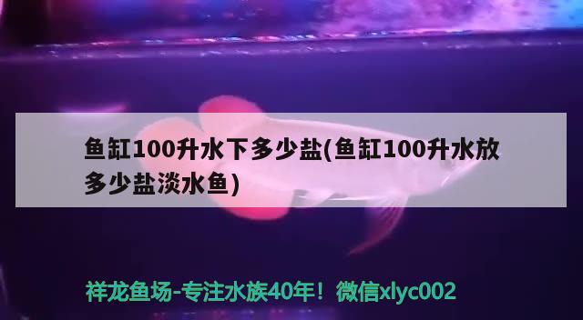 魚缸100升水下多少鹽(魚缸100升水放多少鹽淡水魚) 非洲金鼓魚