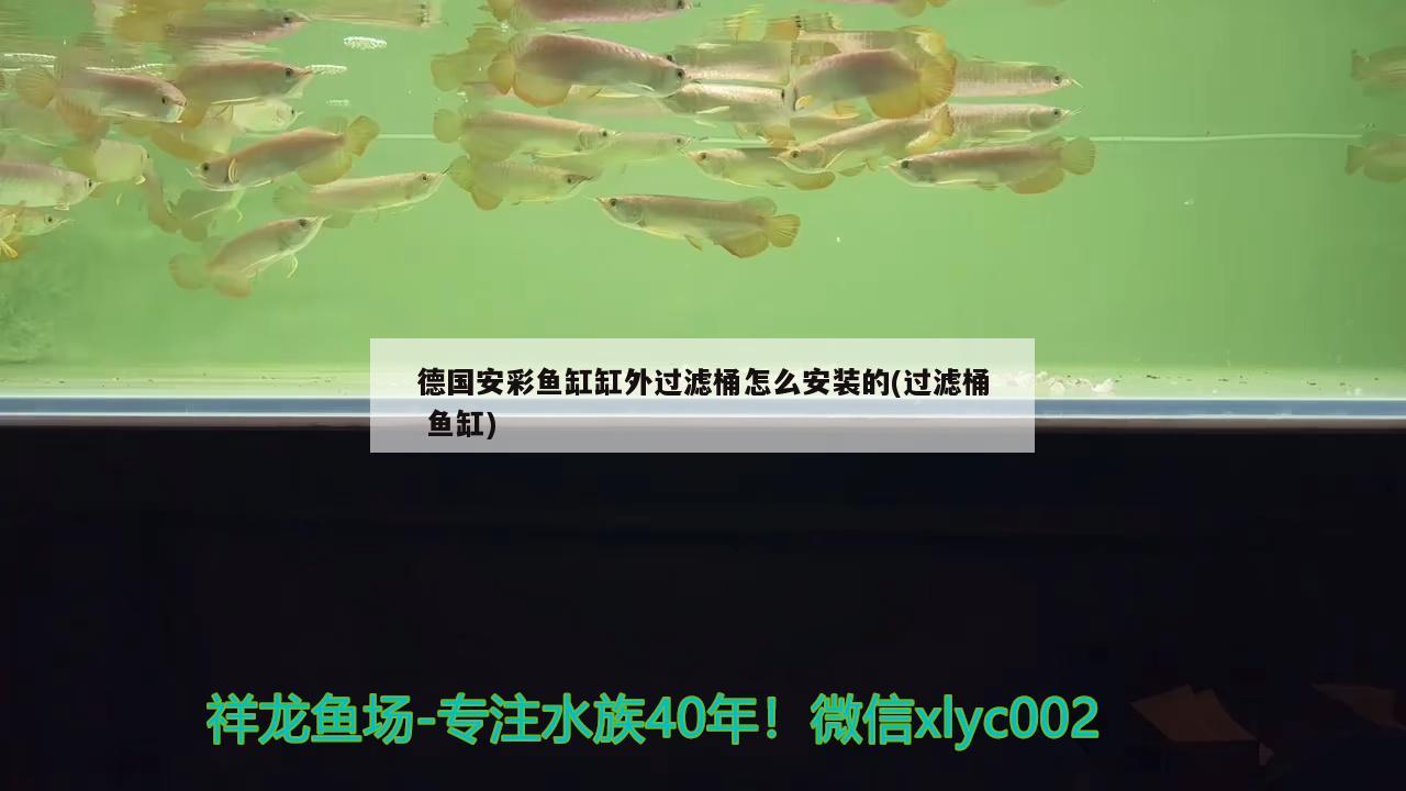 德國(guó)安彩魚(yú)缸缸外過(guò)濾桶怎么安裝的(過(guò)濾桶魚(yú)缸) 羅漢魚(yú)