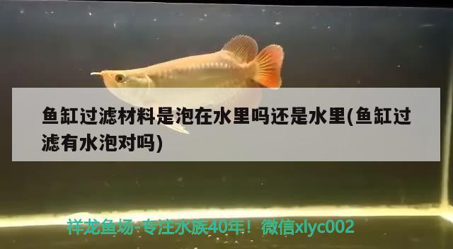 魚缸過濾材料是泡在水里嗎還是水里(魚缸過濾有水泡對嗎)