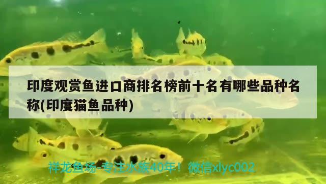 印度觀賞魚進(jìn)口商排名榜前十名有哪些品種名稱(印度貓魚品種) 觀賞魚進(jìn)出口