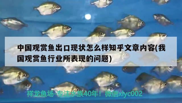 中國觀賞魚出口現(xiàn)狀怎么樣知乎文章內(nèi)容(我國觀賞魚行業(yè)所表現(xiàn)的問題) 觀賞魚進出口