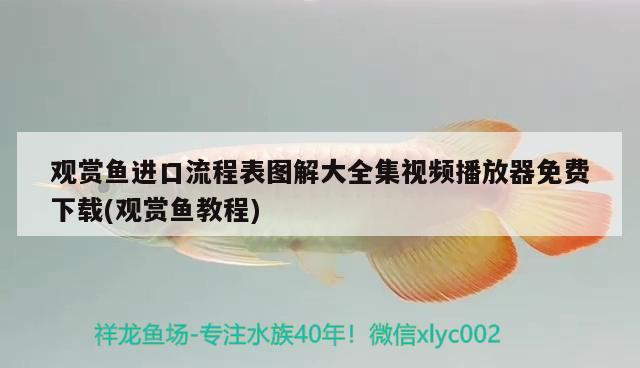 觀賞魚進口流程表圖解大全集視頻播放器免費下載(觀賞魚教程) 觀賞魚進出口