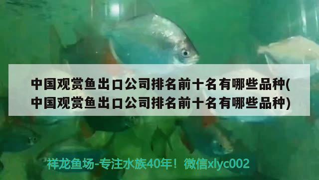 中國觀賞魚出口公司排名前十名有哪些品種(中國觀賞魚出口公司排名前十名有哪些品種) 觀賞魚進(jìn)出口 第2張