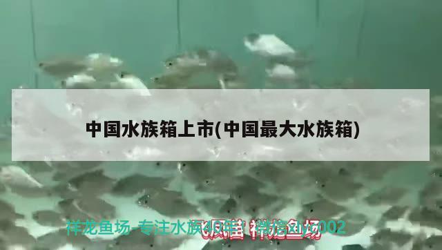 中國水族箱上市(中國最大水族箱)