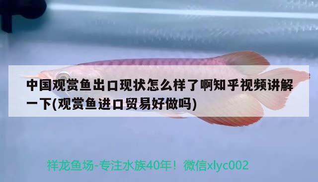 中國觀賞魚出口現(xiàn)狀怎么樣了啊知乎視頻講解一下(觀賞魚進(jìn)口貿(mào)易好做嗎) 觀賞魚進(jìn)出口