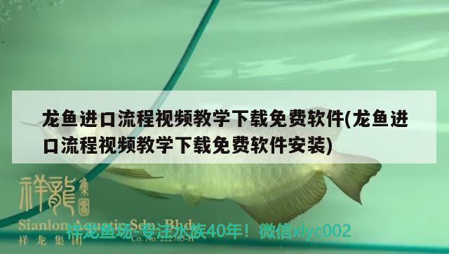 龍魚進口流程視頻教學下載免費軟件(龍魚進口流程視頻教學下載免費軟件安裝)