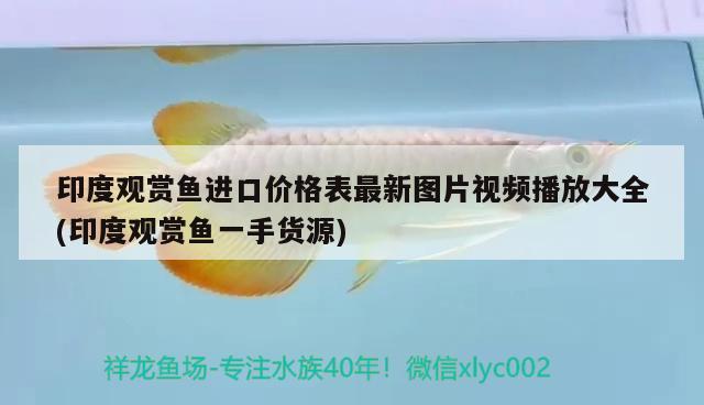 印度觀賞魚進(jìn)口價格表最新圖片視頻播放大全(印度觀賞魚一手貨源) 觀賞魚進(jìn)出口