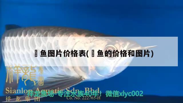 魟魚(yú)圖片價(jià)格表(鳡魚(yú)的價(jià)格和圖片) 斑馬鴨嘴魚(yú)苗