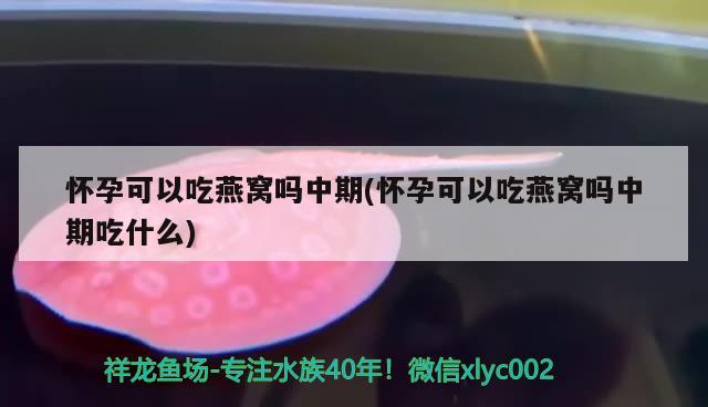 懷孕可以吃燕窩嗎中期(懷孕可以吃燕窩嗎中期吃什么) 馬來(lái)西亞燕窩