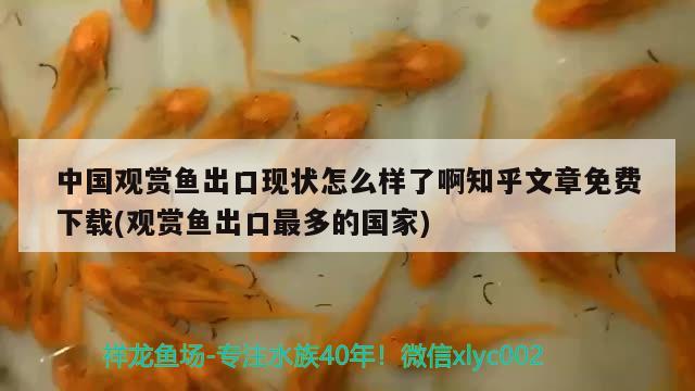 中國觀賞魚出口現(xiàn)狀怎么樣了啊知乎文章免費(fèi)下載(觀賞魚出口最多的國家)