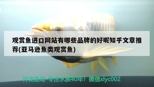 觀賞魚進口網(wǎng)站有哪些品牌的好呢知乎文章推薦(亞馬遜魚類觀賞魚)