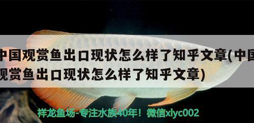 中國(guó)觀賞魚出口現(xiàn)狀怎么樣了知乎文章(中國(guó)觀賞魚出口現(xiàn)狀怎么樣了知乎文章) 觀賞魚進(jìn)出口