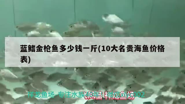 藍鰭金槍魚多少錢一斤(10大名貴海魚價格表)