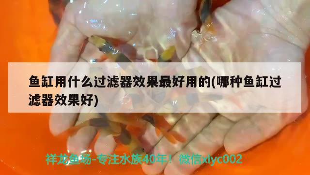 魚缸用什么過濾器效果最好用的(哪種魚缸過濾器效果好)