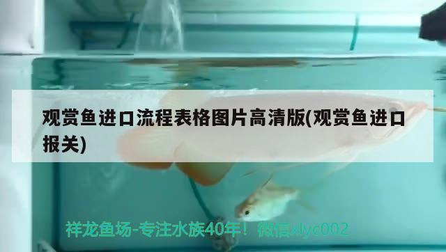 觀賞魚進口流程表格圖片高清版(觀賞魚進口報關)