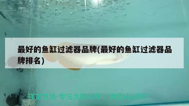 最好的魚(yú)缸過(guò)濾器品牌(最好的魚(yú)缸過(guò)濾器品牌排名) 進(jìn)口元寶鳳凰魚(yú)