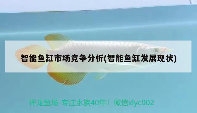 智能魚缸市場(chǎng)競(jìng)爭(zhēng)分析(智能魚缸發(fā)展現(xiàn)狀) 一眉道人魚苗