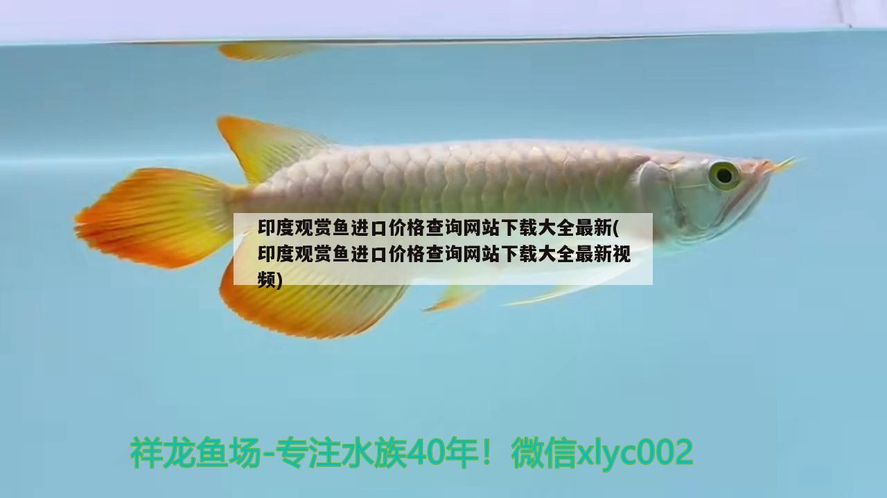 印度觀賞魚進口價格查詢網(wǎng)站下載大全最新(印度觀賞魚進口價格查詢網(wǎng)站下載大全最新視頻) 觀賞魚進出口