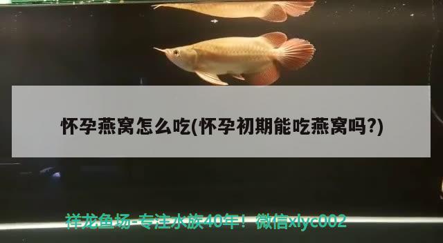 懷孕燕窩怎么吃(懷孕初期能吃燕窩嗎?) 馬來西亞燕窩