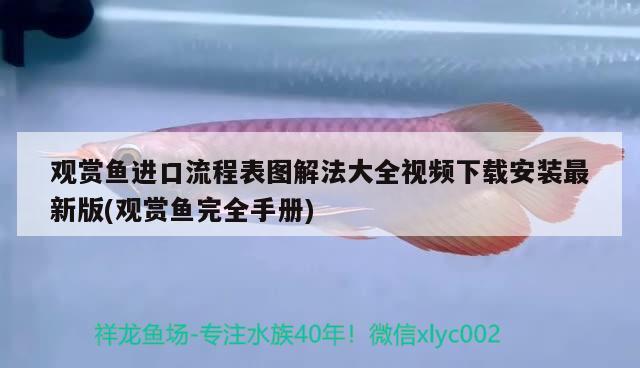 觀賞魚進(jìn)口流程表圖解法大全視頻下載安裝最新版(觀賞魚完全手冊) 觀賞魚進(jìn)出口