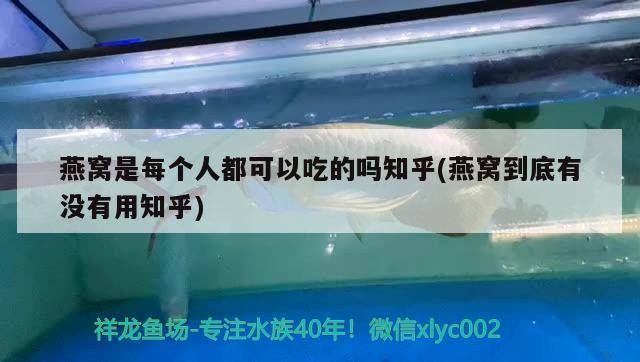 燕窩是每個人都可以吃的嗎知乎(燕窩到底有沒有用知乎) 馬來西亞燕窩