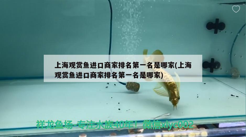 上海觀賞魚進(jìn)口商家排名第一名是哪家(上海觀賞魚進(jìn)口商家排名第一名是哪家)