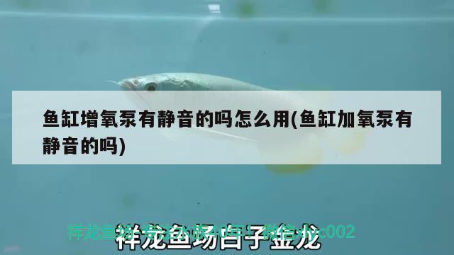 魚缸增氧泵有靜音的嗎怎么用(魚缸加氧泵有靜音的嗎) 祥龍魚場