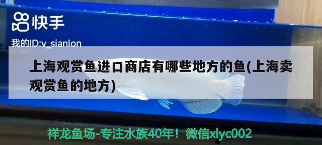 上海觀賞魚進(jìn)口商店有哪些地方的魚(上海賣觀賞魚的地方) 觀賞魚進(jìn)出口