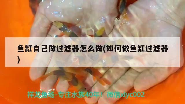 魚缸自己做過濾器怎么做(如何做魚缸過濾器) 過背金龍魚 第2張