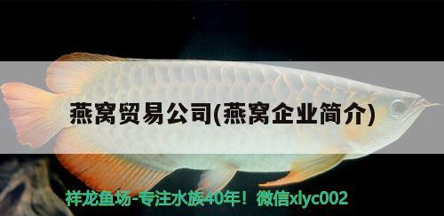 燕窩貿(mào)易公司(燕窩企業(yè)簡介)