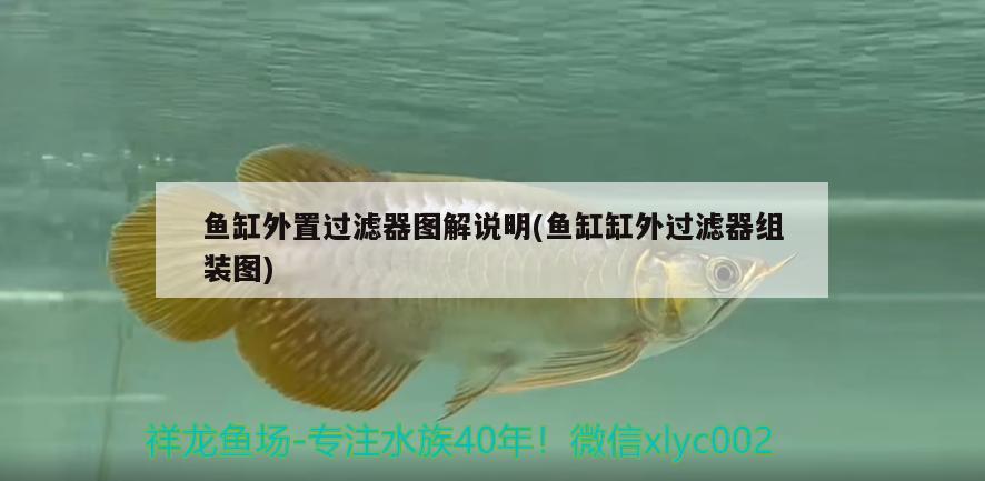 魚缸外置過濾器圖解說明(魚缸缸外過濾器組裝圖) 撒旦鴨嘴魚