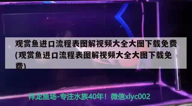 觀賞魚進(jìn)口流程表圖解視頻大全大圖下載免費(fèi)(觀賞魚進(jìn)口流程表圖解視頻大全大圖下載免費(fèi)) 觀賞魚進(jìn)出口