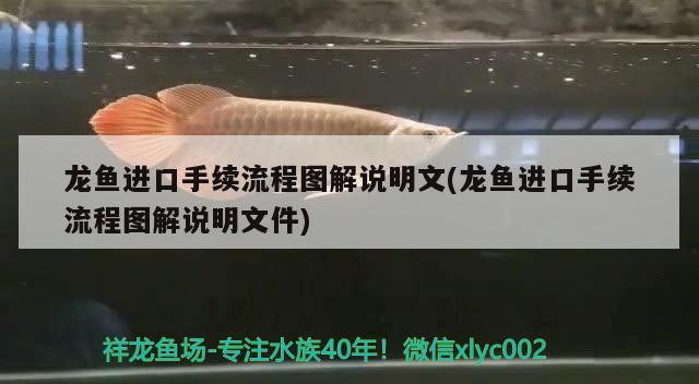 龍魚進口手續(xù)流程圖解說明文(龍魚進口手續(xù)流程圖解說明文件) 觀賞魚進出口